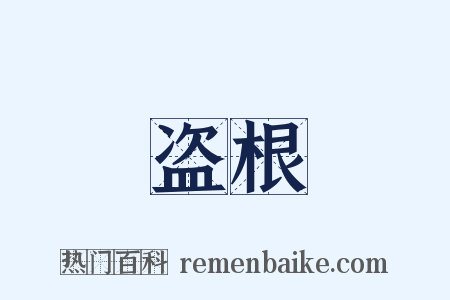 盗根是什么意思的图片